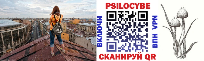 Галлюциногенные грибы Psilocybine cubensis  цена наркотик  Ступино 