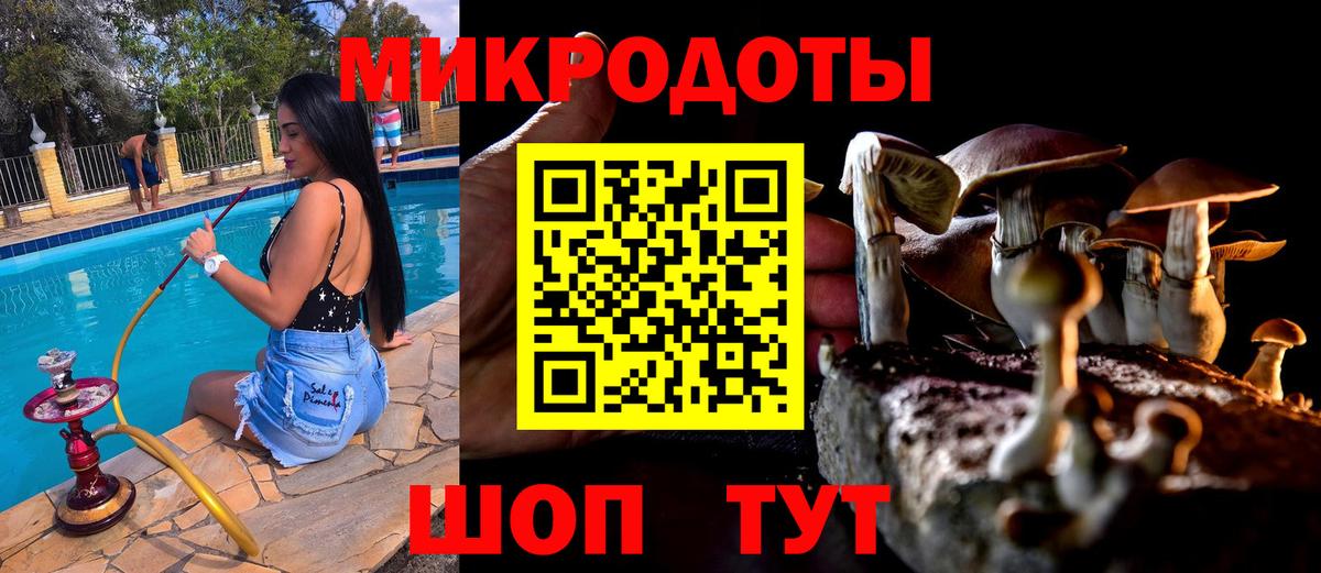 Галлюциногенные грибы Cubensis  Вход с VPN  Ступино  Псилоцибиновые грибы Magic Shrooms 