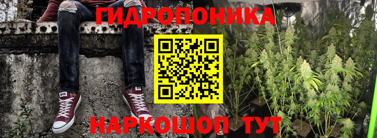 МАРИХУАНА Amnesia  Вход с VPN  Каннабис ГИДРОПОН  Ступино 